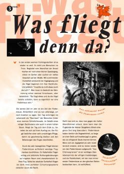 Fledermausflyer: Was fliegt denn da?